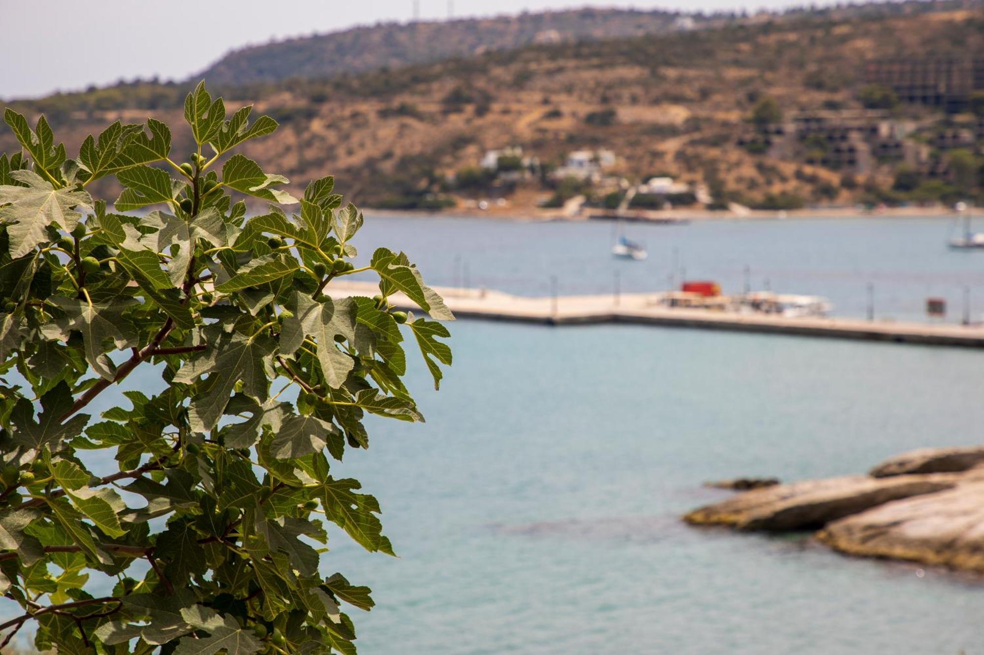 Villa Sea La Vie Agia Marina  Exterior foto